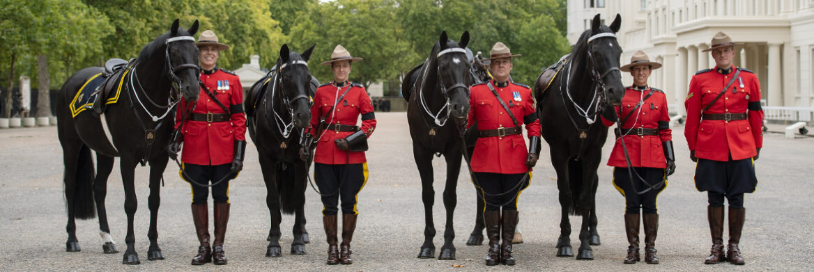 Cinq membres du Carrousel de la GRC vêtus de la tunique rouge se tiennent debout et forment une ligne; quatre d'entre eux tiennent chacun la bride d'un grand cheval noir.