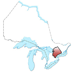 Région du Grand Toronto