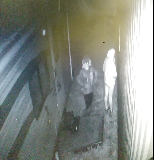 Surveillance footage from St. Anthony Green Depot shows two individuals outside the business at the time of the break and enter.