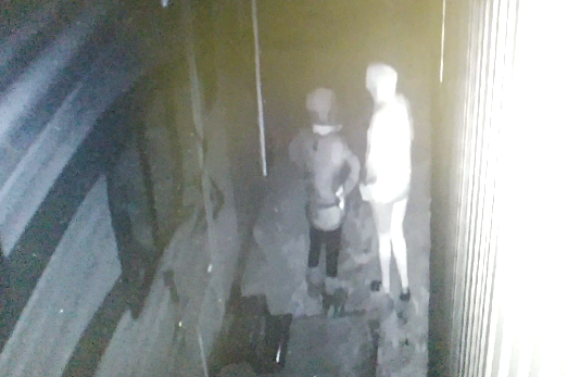 Surveillance footage from St. Anthony Green Depot shows two individuals outside the business at the time of the break and enter.