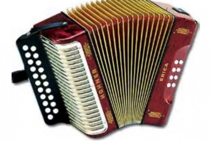 Un accordéon Hohner Erica a été volé lors d'une introduction par effraction dans un chalet, à Duntara, entre les 18 et 19 octobre 2020.