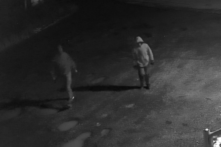 Two individuals, captured on video surveillance, walked onto the property of the Midway Gas Bar and Lounge during the time of a break, enter and theft on November 16, 2020.
