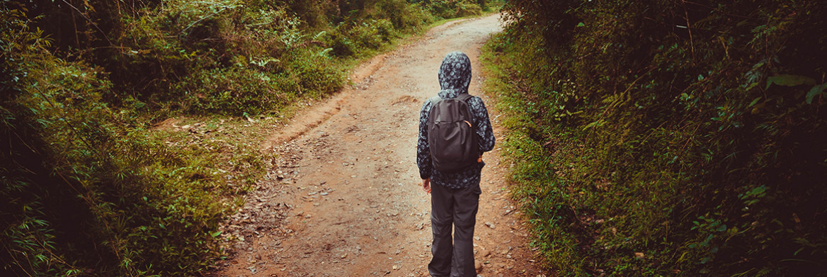 Un garçon avec un sac à dos marche sur un chemin dans une zone boisée. 