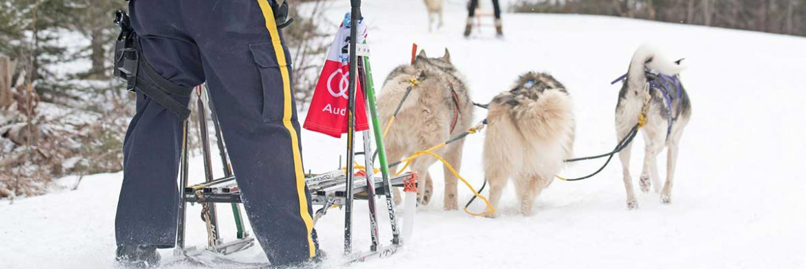 A male RCMP officer pilots a sled being towed by three dogs outdoors in winter.