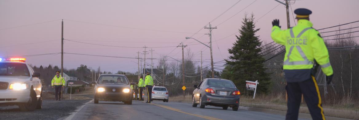 Members perform traffic stop.